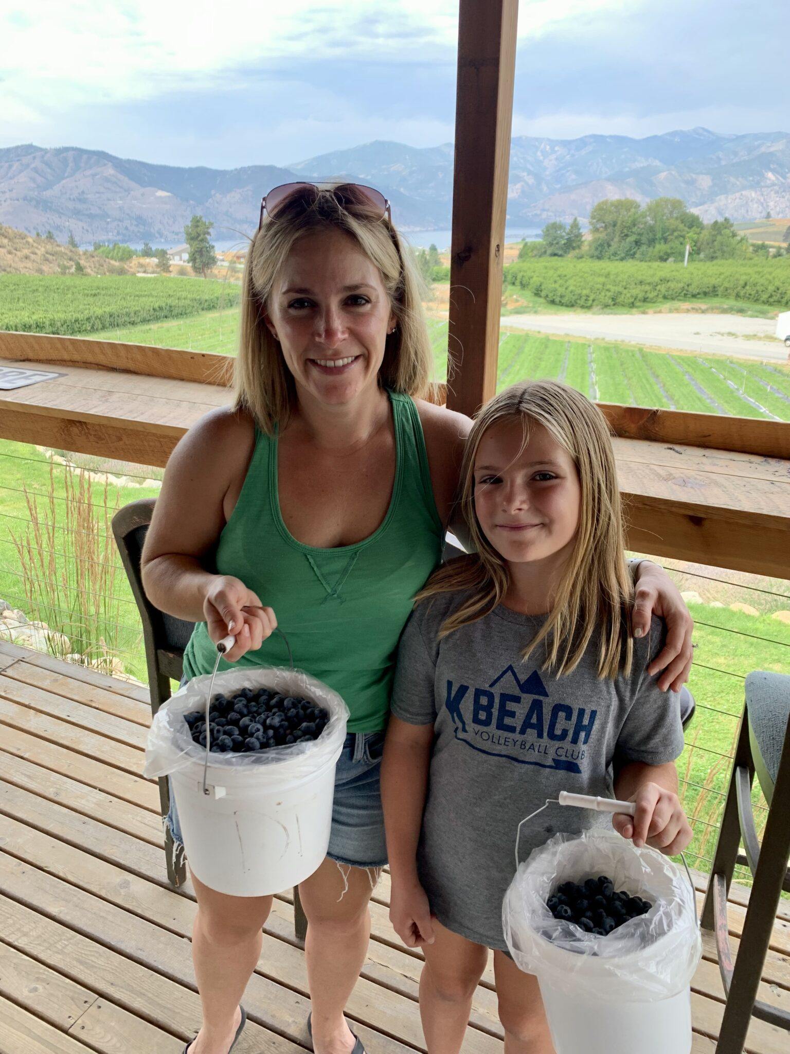 Why UPick Organic Blueberries Chelan Ranch