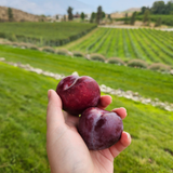 Organic Pluots (P/U)