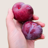 Organic Pluots (P/U)