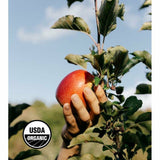 Organic Gala Washington Apples