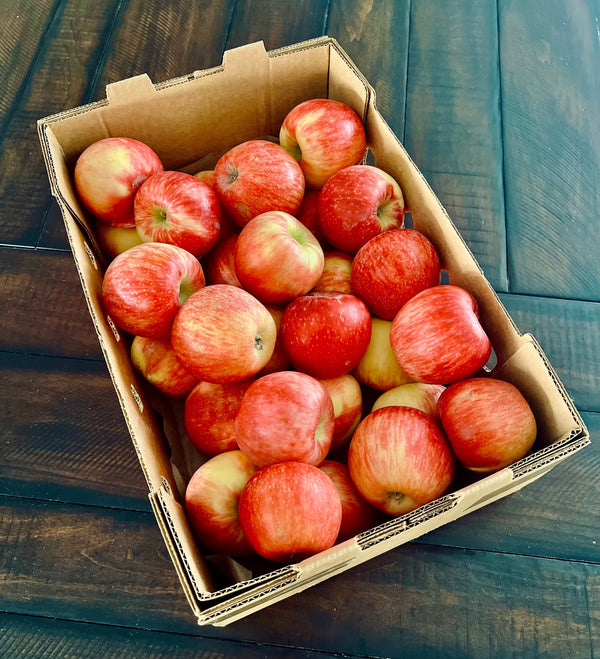 Honeycrisp Apples for Every Household