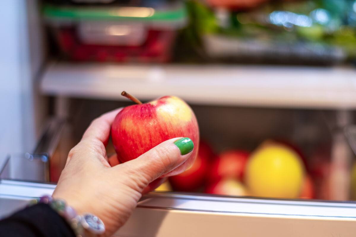 https://chelanranch.com/cdn/shop/articles/Apple-in-fridge.jpg?v=1700084355