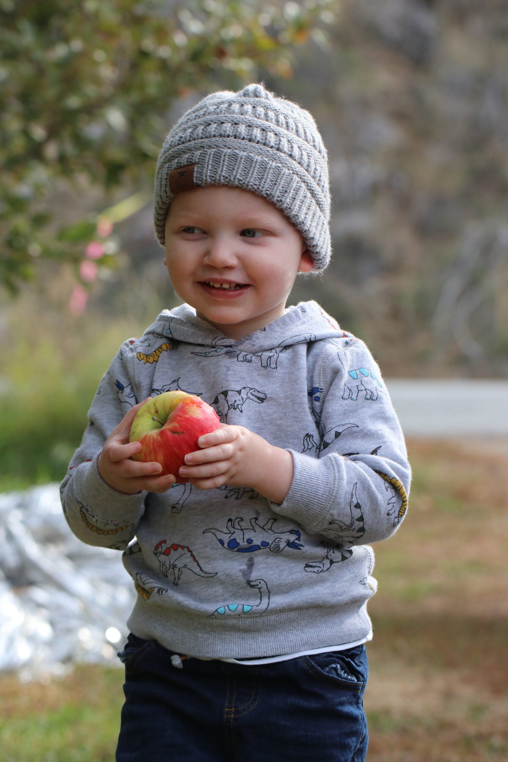 Apple picking 101 answering your most common questions – Chelan Ranch