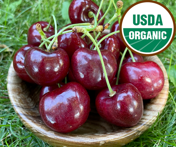 What are the Health Benefits of Organic Fruits?