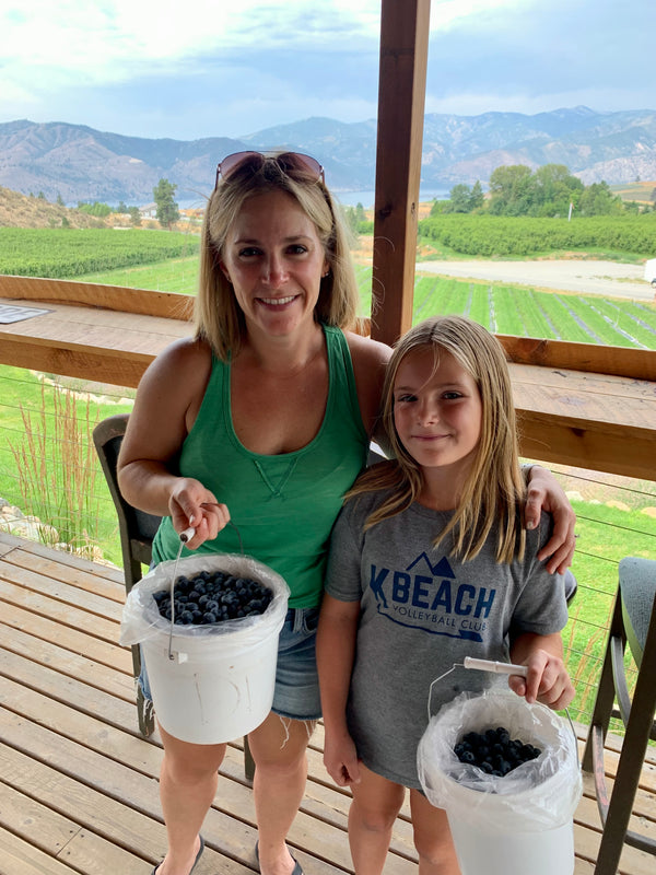 How to U-pick Blueberries at Chelan Ranch