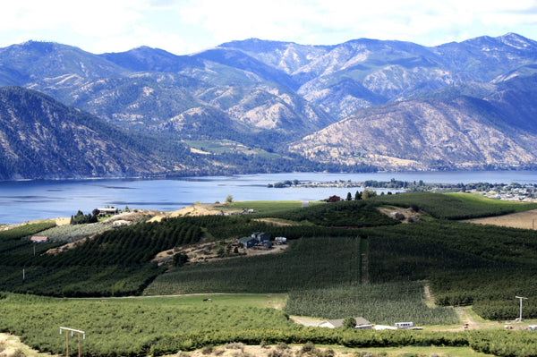 The Benefits of Glacier Runoff Water for Organic Farming at Chelan Ranch
