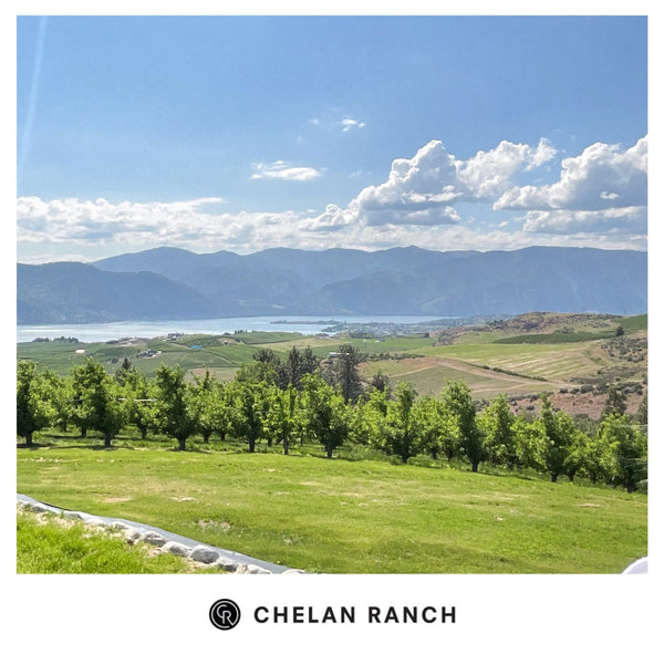How to Spend a Day at Chelan Ranch: Farmers Markets, Car Shows & Lake Views