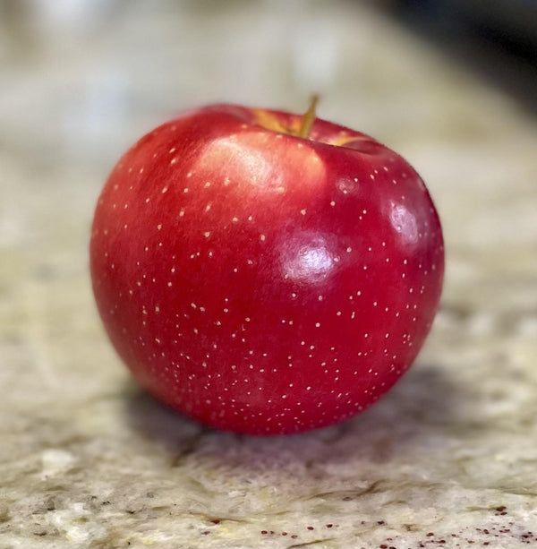 Late Summer Orchard Care: How Organic IPM + Soil Health Keep Our Fruit Fresh & Flavorful