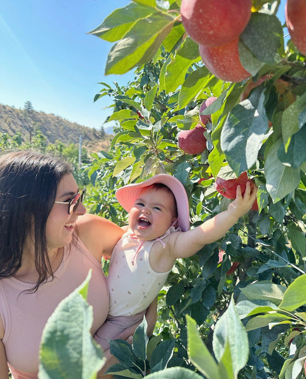 When is Apple Harvest Season?