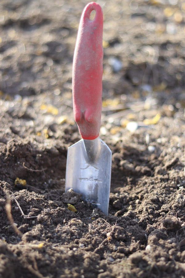 Ideal Soil for Gardening