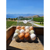 Farm Fresh Eggs (P/U)