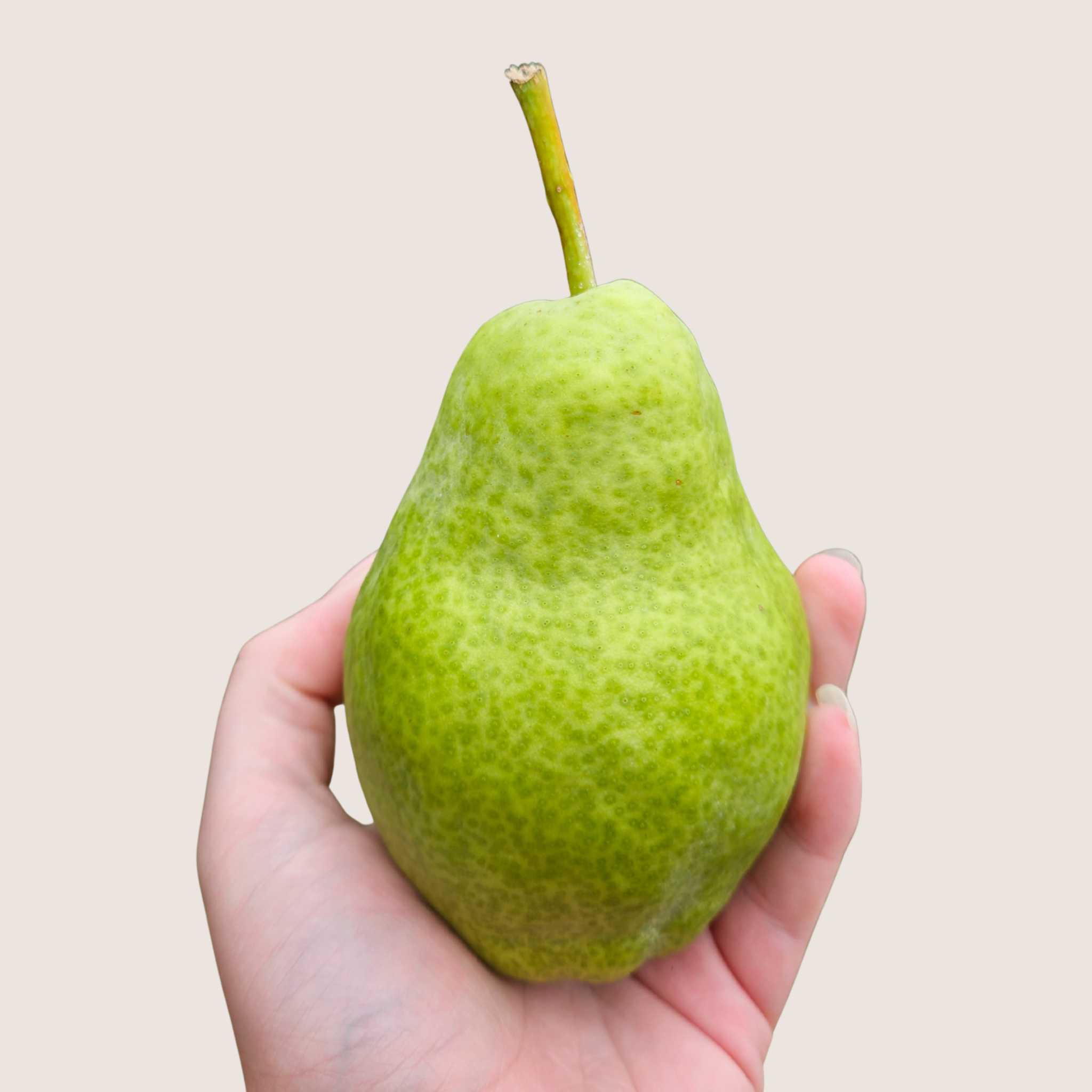 Organic Pears – Local Pick-Up Only | Chelan Ranch