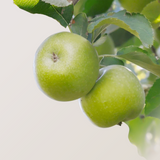 Organic Apple Lover's Club