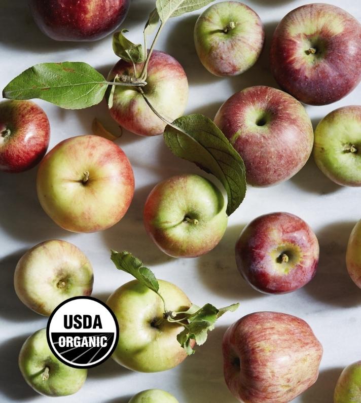 Chelan Beauty Apples Honeycrisp , Freeze Dried, Organic - Azure Standard