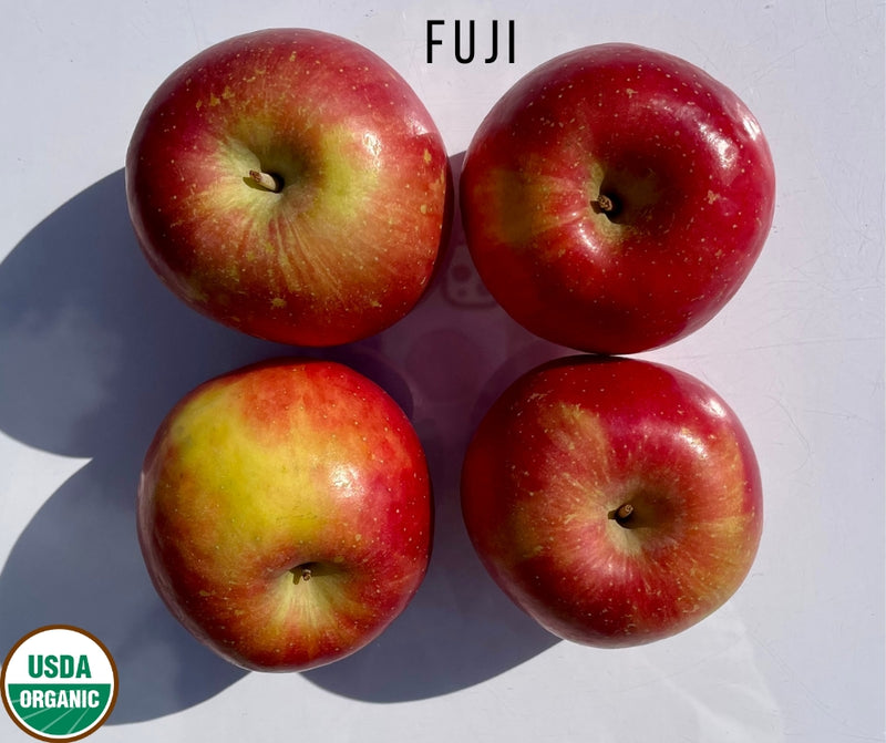 Organic Fuji Apple [5pcs]  Little League Organic Farmers