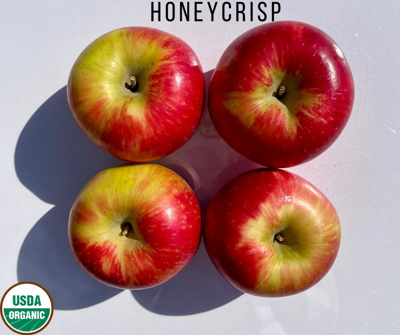 Juneau Fresh PREORDER Organic Honeycrisp Apple - Each