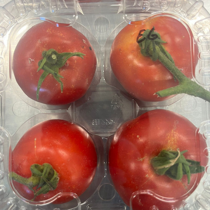 Organic Tomatoes (P/U)