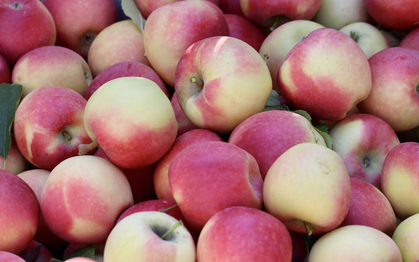 Wholesale – Chelan Ranch