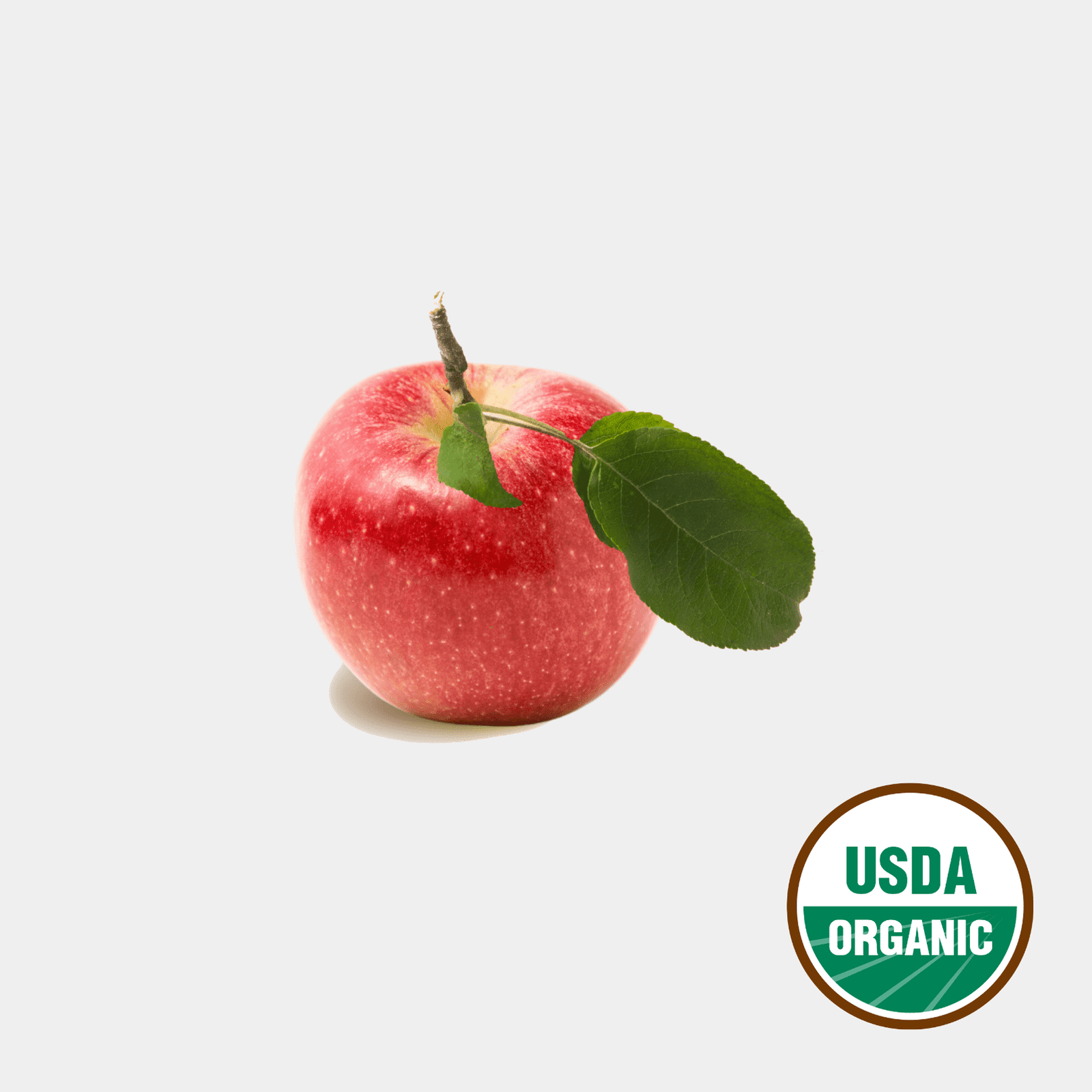 Organic Fuji Apples | Order Online From a Local Family Farm