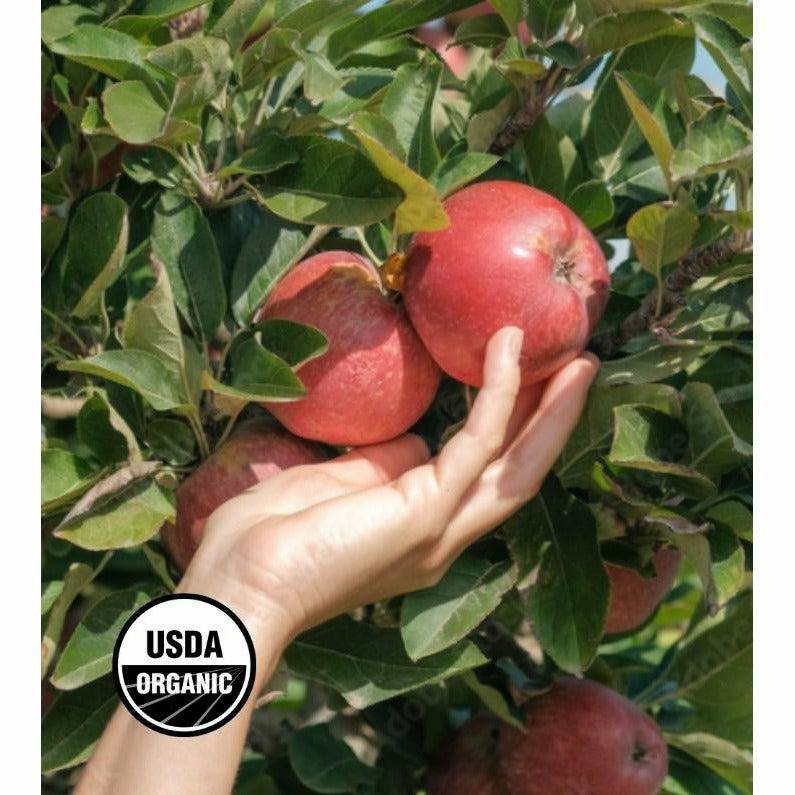 Organic Large Fuji Apples - 3ct : Grocery fast delivery by App or Online