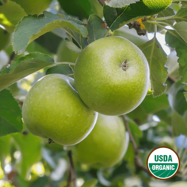Organic Granny Smith Apple Trio, 3 count, Cuyama Orchards